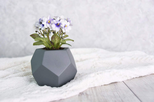 Penta Pot - Essential Line