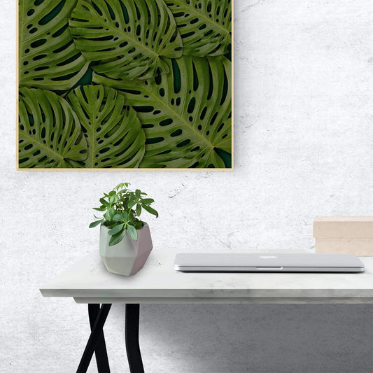 Octa Pot - Essential Line