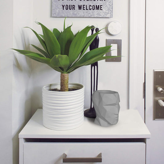 Head Pot - Essential Line