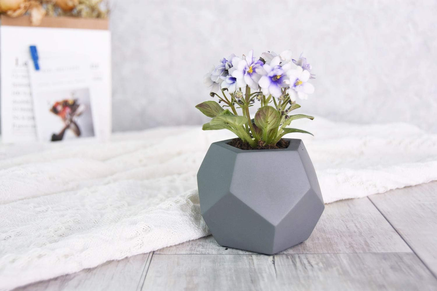 Penta Pot - Essential Line