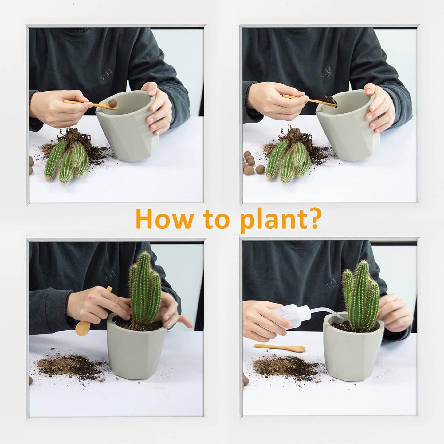 Poly Pot - Essential Line