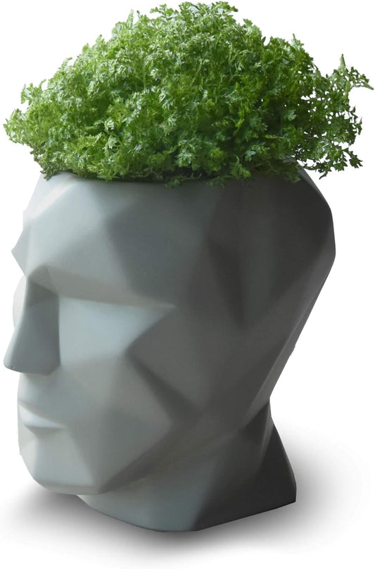 Head Pot - Essential Line